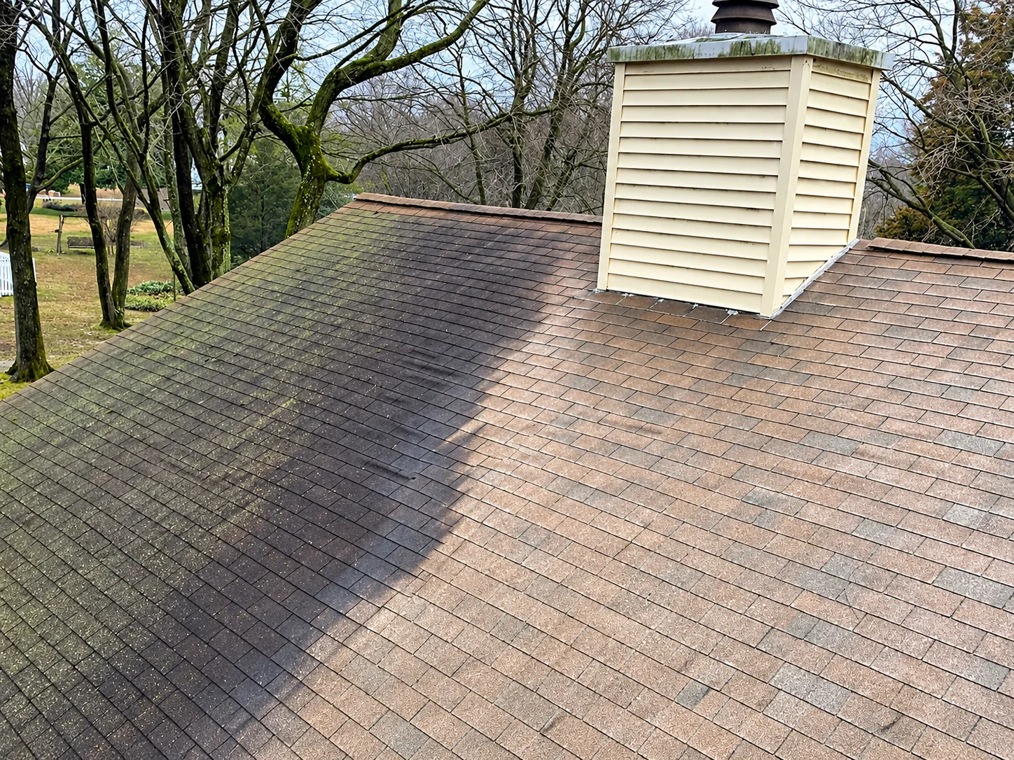 Residential roof with visible organic growth and a cleaner treated section